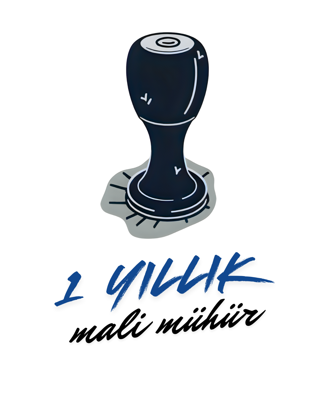 1 Yıllık Mali Mühür